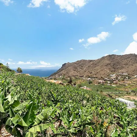 Tableros הרמיגואה